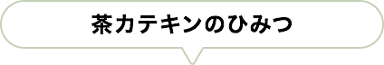 茶カテキンのひみつ