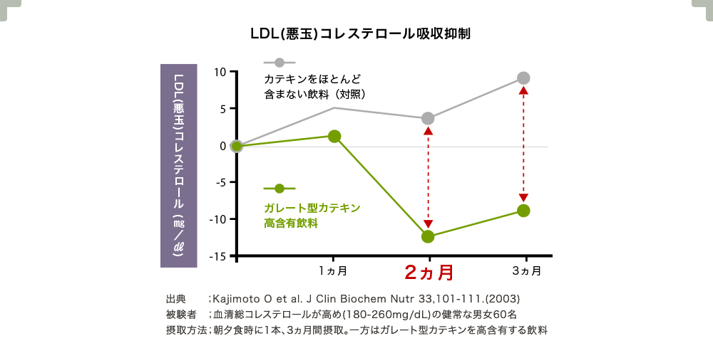 LDL(悪玉)コレステロール吸収抑制