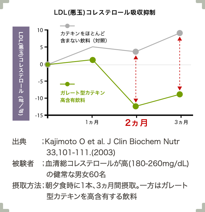 LDL(悪玉)コレステロール吸収抑制