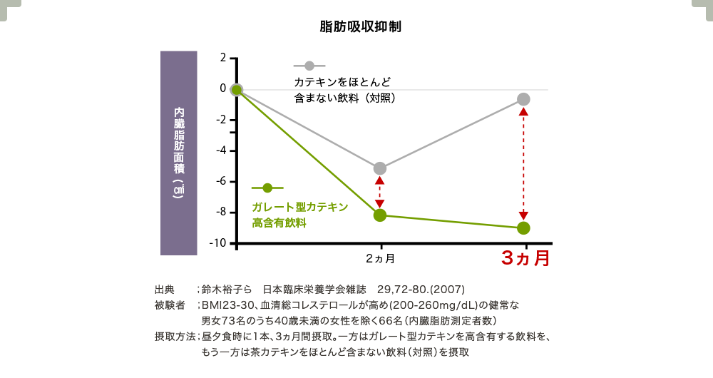 脂肪吸収抑制