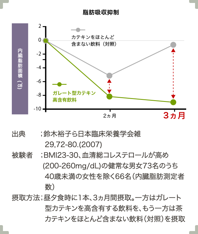 脂肪吸収抑制
