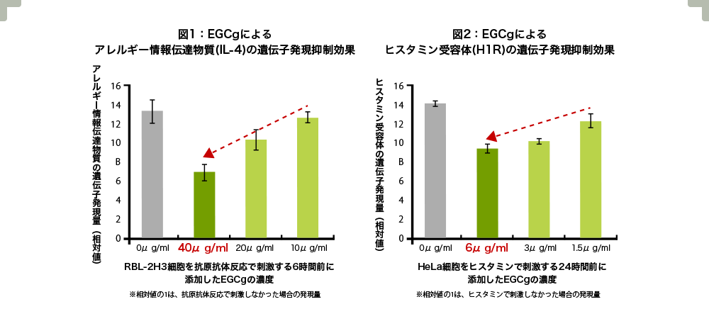図1：EGCgによるヒスタミン受容体(H1R)の遺伝子発現抑制効果、図2：EGCgによるアレルギー情報伝達物質(IL-4)の遺伝子発現抑制効果