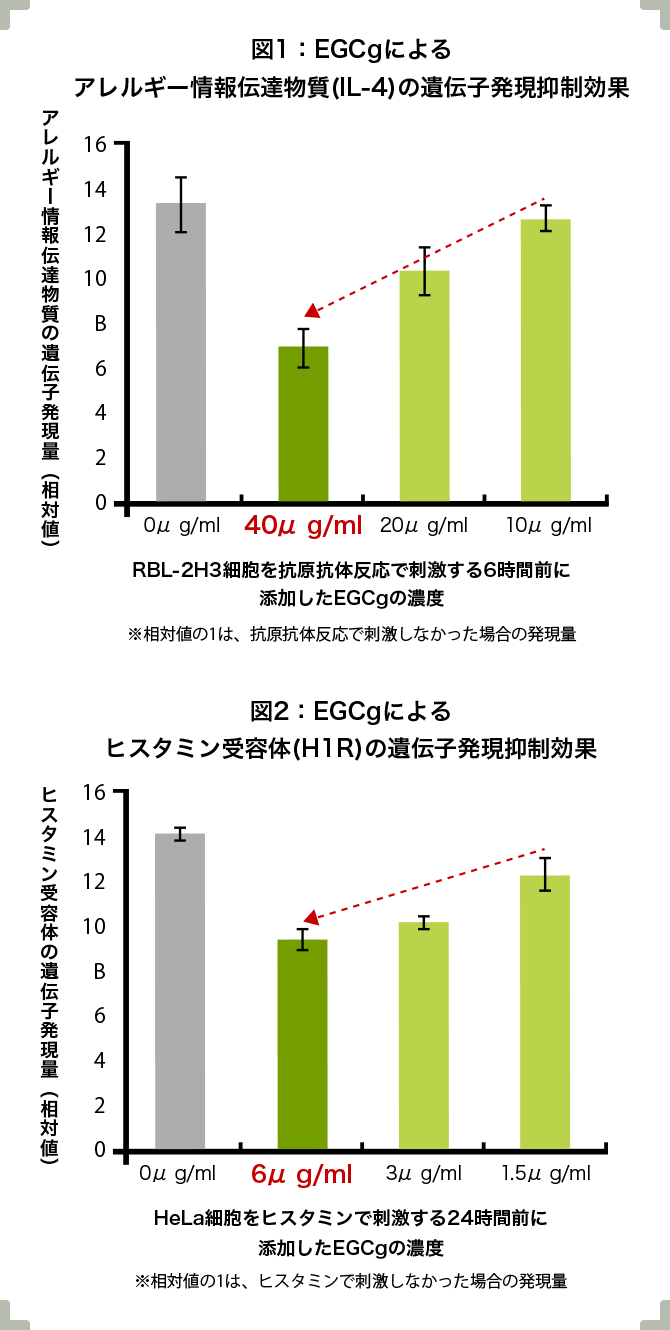 図1：EGCgによるヒスタミン受容体(H1R)の遺伝子発現抑制効果、図2：EGCgによるアレルギー情報伝達物質(IL-4)の遺伝子発現抑制効果