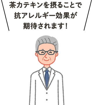 茶カテキンを摂ることで抗アレルギー効果が期待されます！
