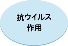 抗ウイルス作用