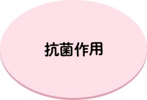 抗菌作用