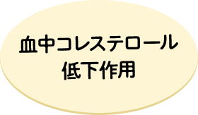血中コレステロール低下作用