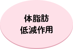 体脂肪低減作用