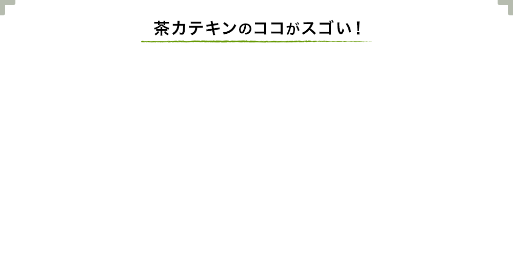 茶カテキンのココがスゴい！