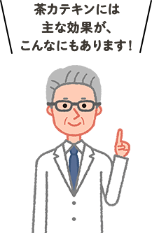 茶カテキンには主な効果が、こんなにもあります！
